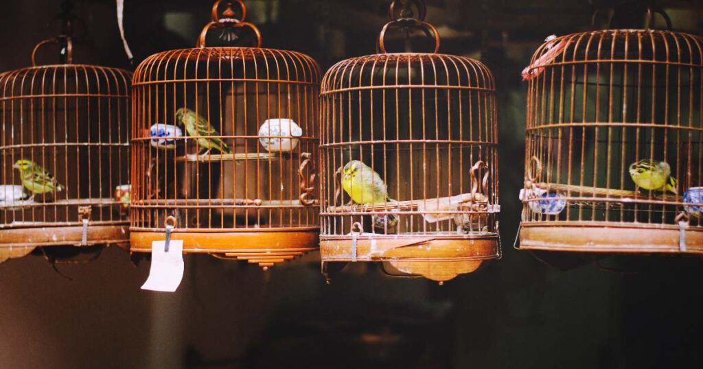 UnableToGoToYourChinaFactorybecauseoftheCoronavirus