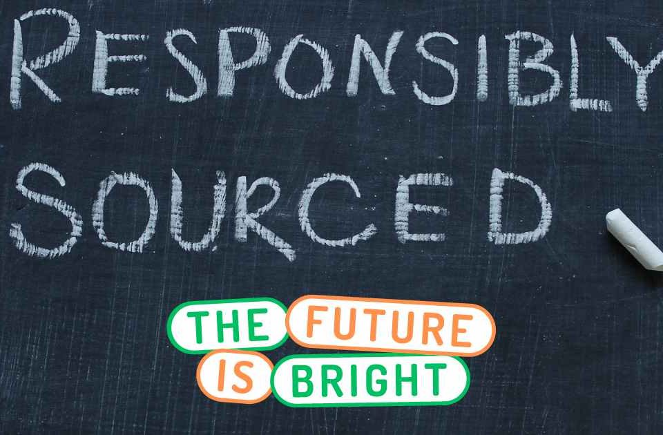 Responsible & Sustainable Purchasing Practices: Sourcing's Near Future
